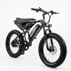 electric cycle